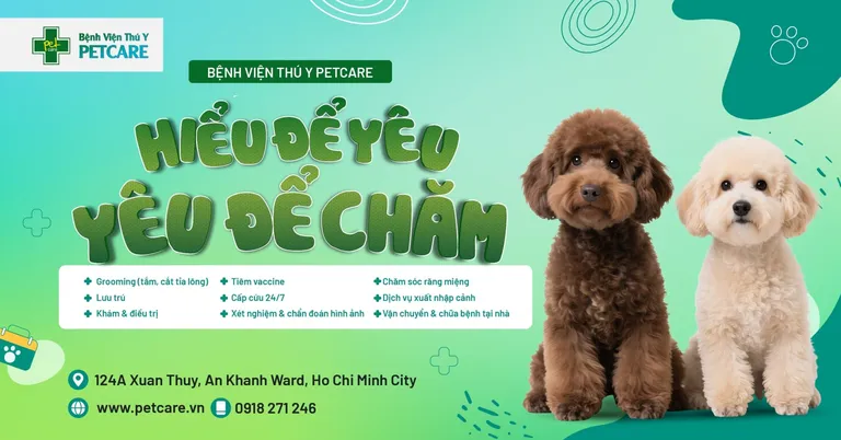 Bệnh Viện Thú Y PetCare