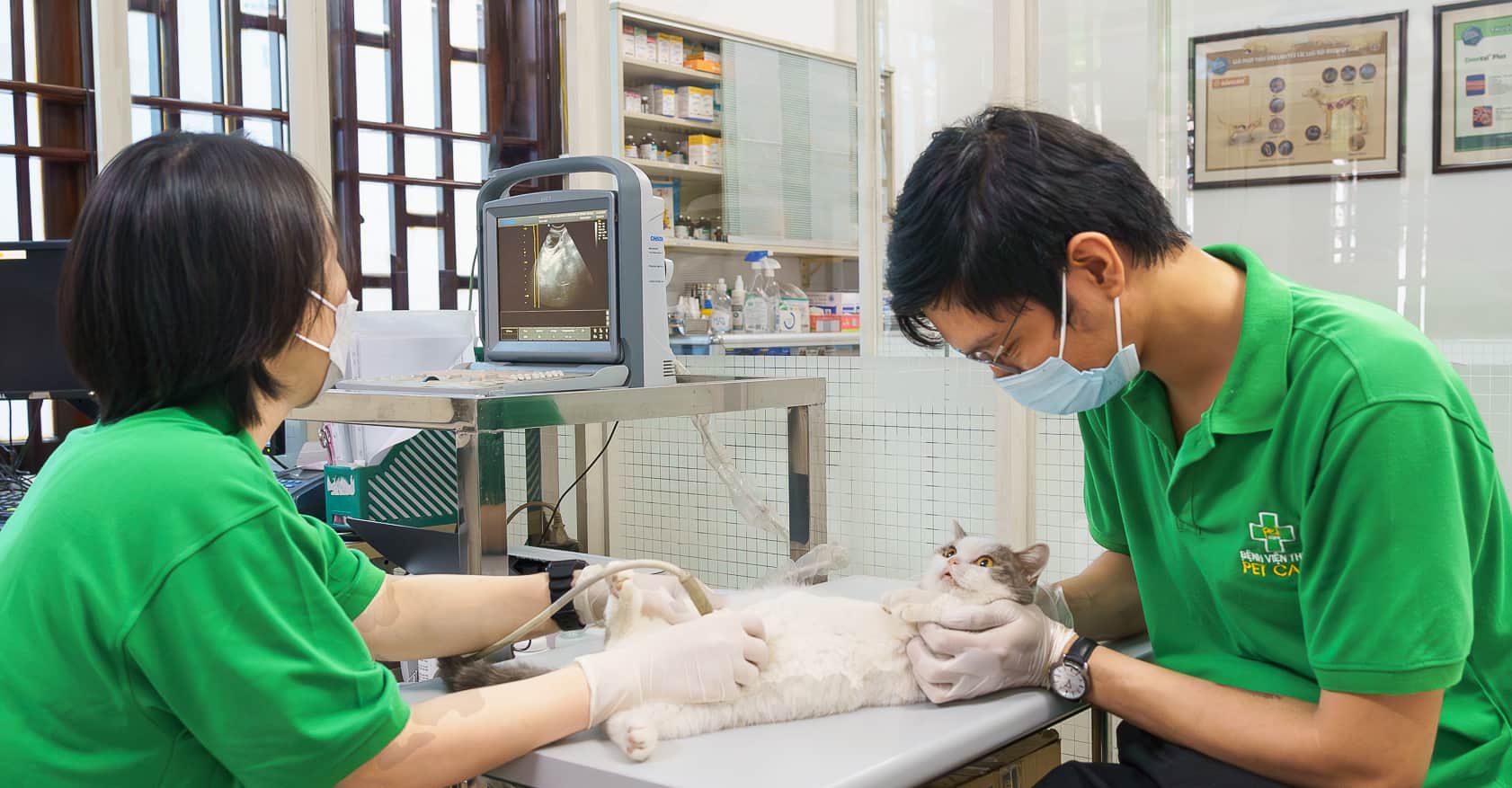 https://petcare.vn/wp-content/uploads/2023/06/untitled-46.jpg?utm_source=chatgpt.com