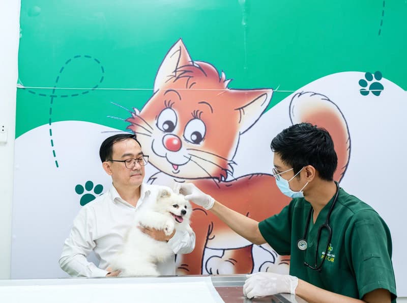 benh-parvo-o-cho-co-chua-duoc-khong-3