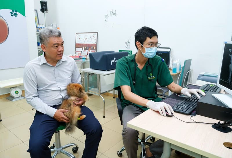 cach-cam-mau-nhanh-nhat-cho-cho-4