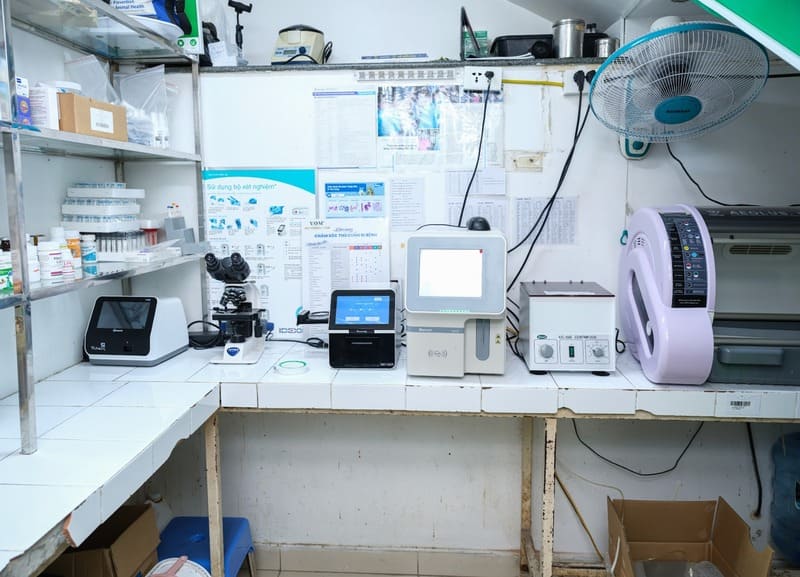 phau-thuat-cho-thu-cung-quan-7-4