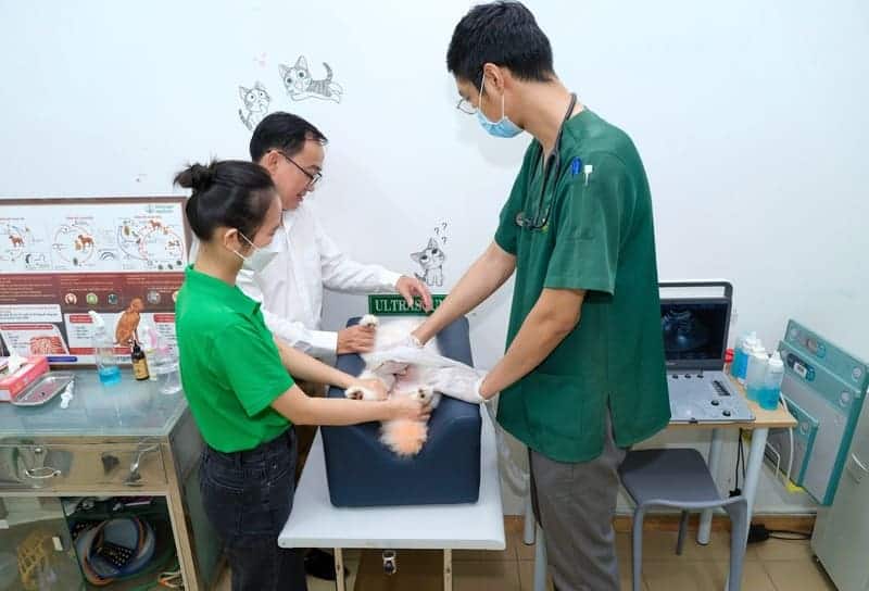 trung-tam-cham-soc-thu-cung-petcare-1