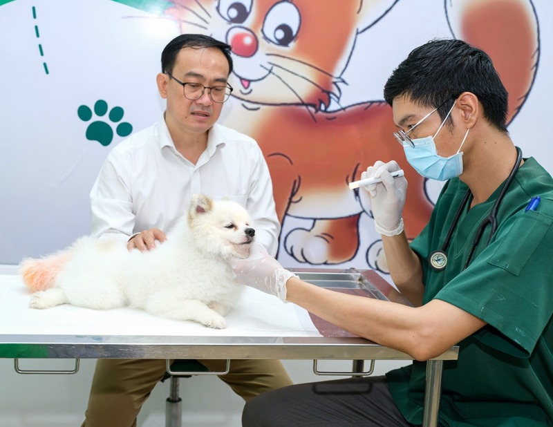 benh-viem-phoi-o-cho-5