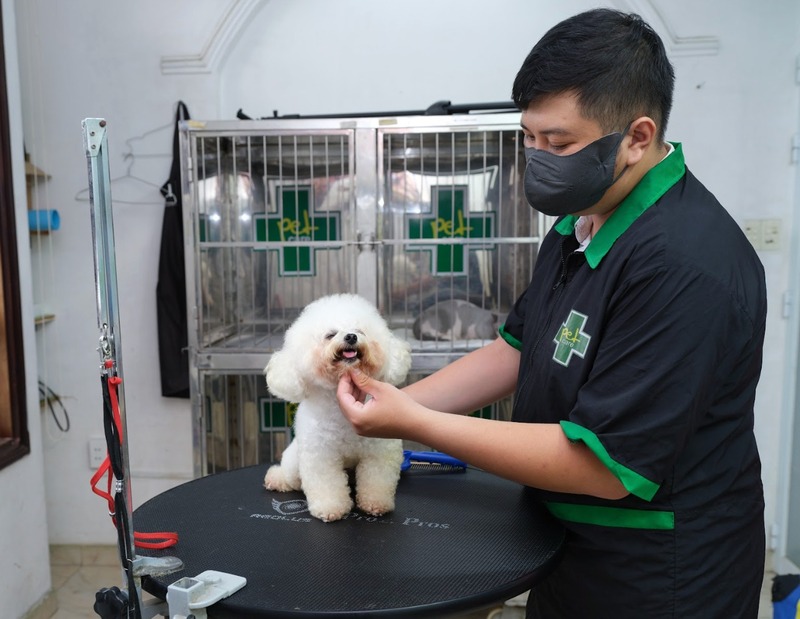 grooming-thu-cung-quan-7-1