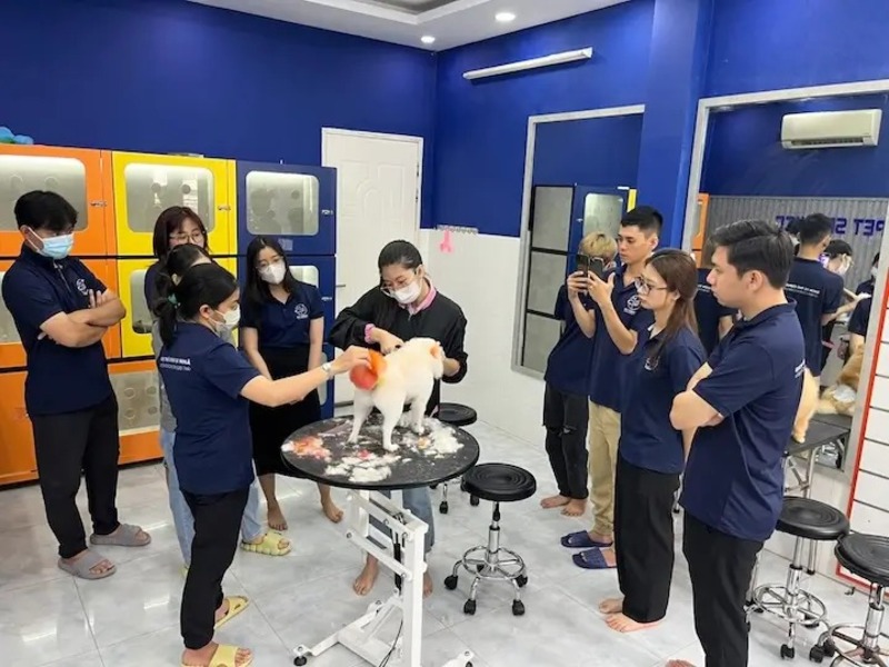 grooming-thu-cung-quan-7-2