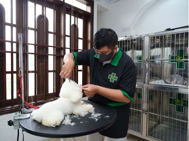 grooming-thu-cung-quan-7-7