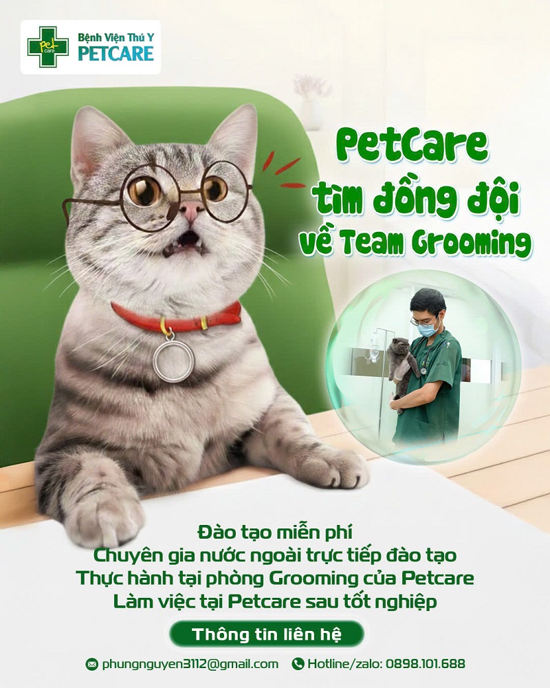 petcare-tuyen-dong-doi-team-grooming-dang-can-ban