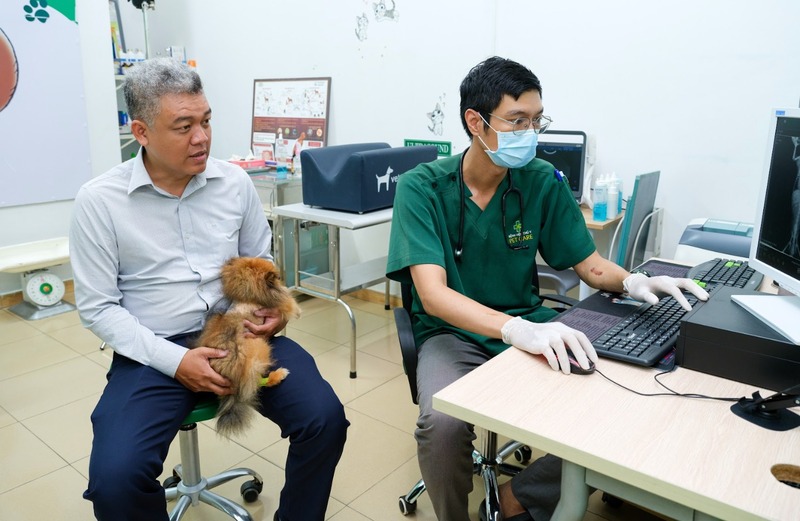 phau-thuat-cho-thu-cung-tphcm-4