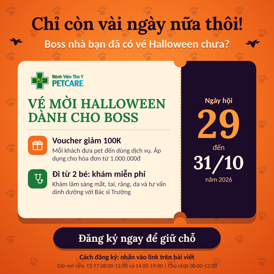 Bệnh Viện Thú Y PetCare