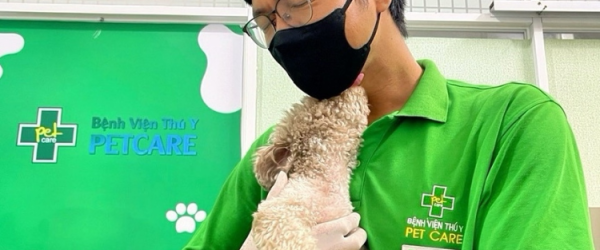 Bệnh Viện Thú Y PetCare