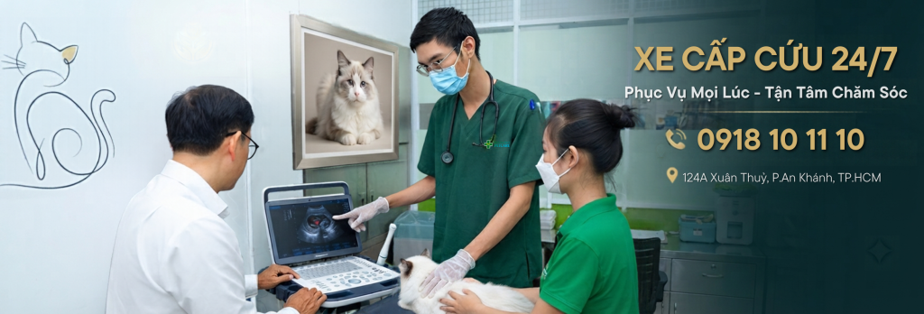 Bệnh Viện Thú Y PetCare